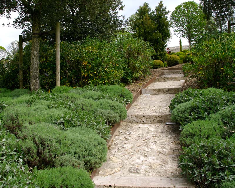 Rosemary Path - Jardin du Midi - Chateau Royal d'Amboise