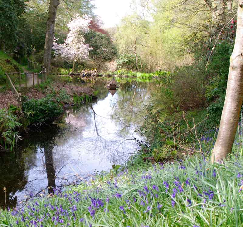 The lake - spring in Ramster Gardens
