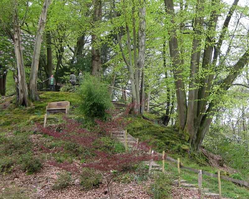 Spring in Ramster Gardens- steps down to the stream and lake