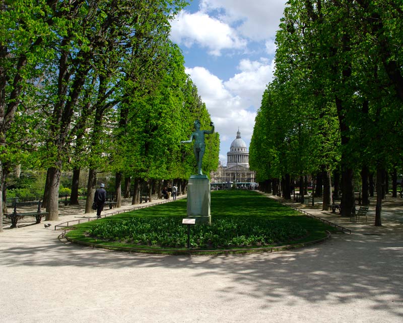 One of the many splendid avenues of trees in the Jardin de Luxembourg