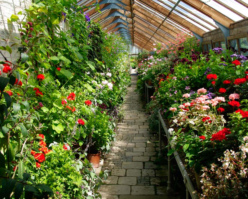 Parham House glasshouses where thousands of plants are raised