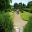 Easy pathways at Parham House Gardens