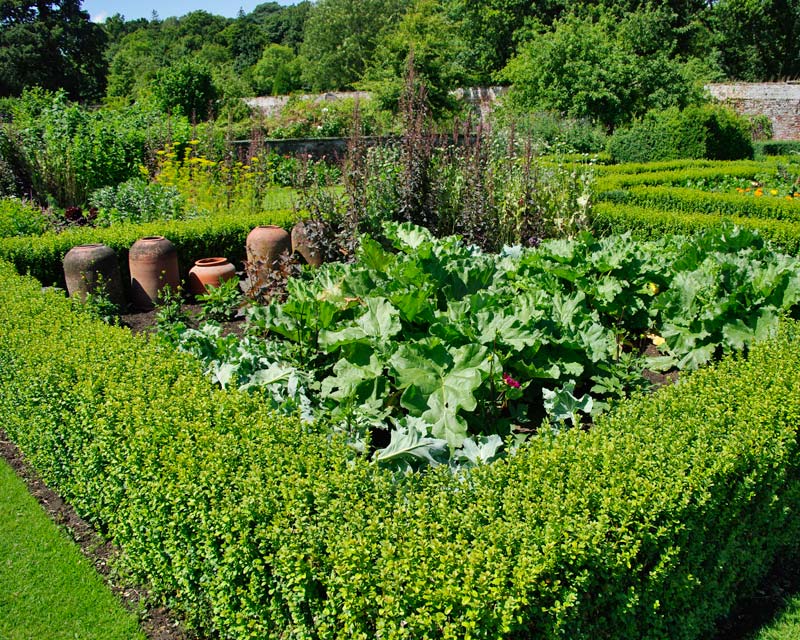 Walled garden veggie patch, Parham House