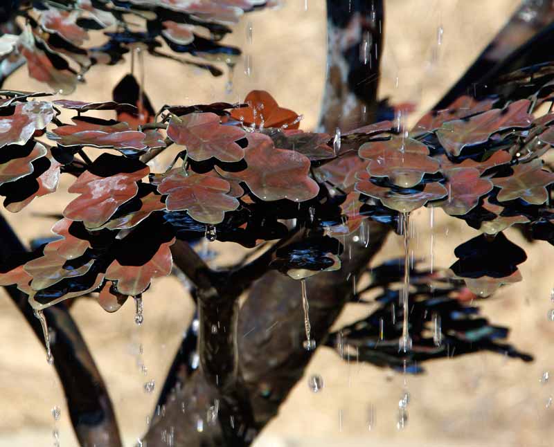 Water drips from the leaves of the Copper Tree Fountain in the Water Garden at Mayfield