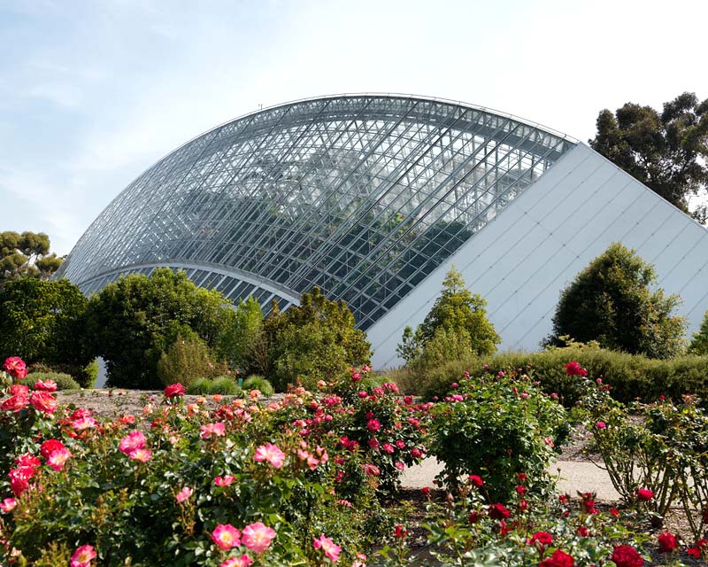 The Conservatory at Adelaide Botanic Gardens