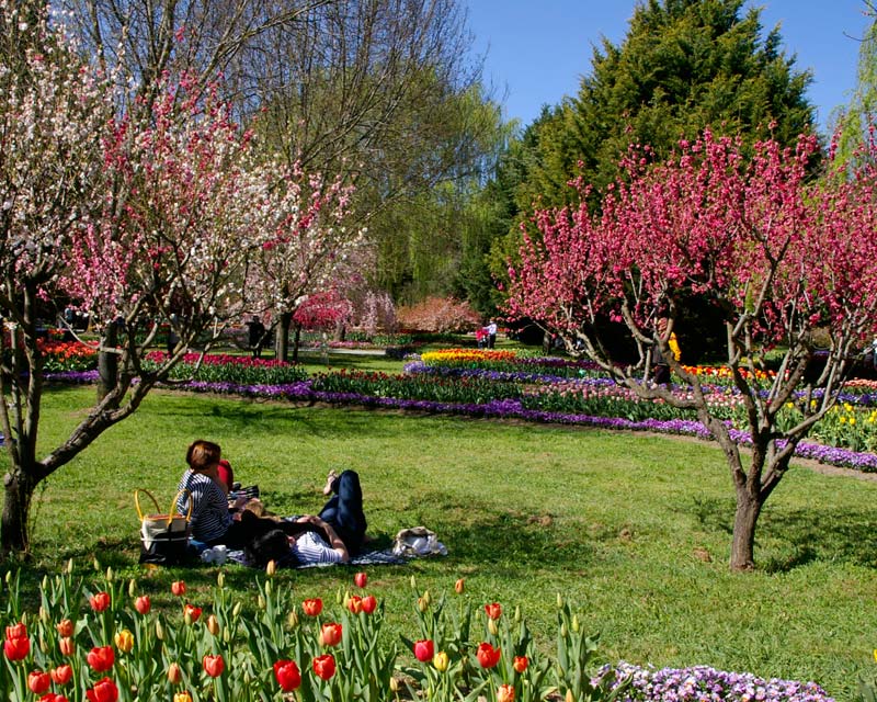Enjoy a rest in the shade of one of the many trees at Tulip Top Gardens