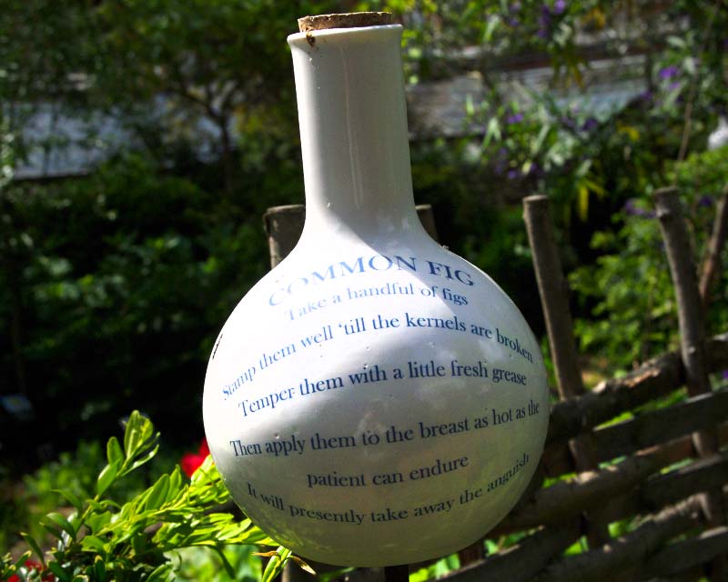 Apothecary glazed bottles, artfully re-created at Chelsea Physic Garden