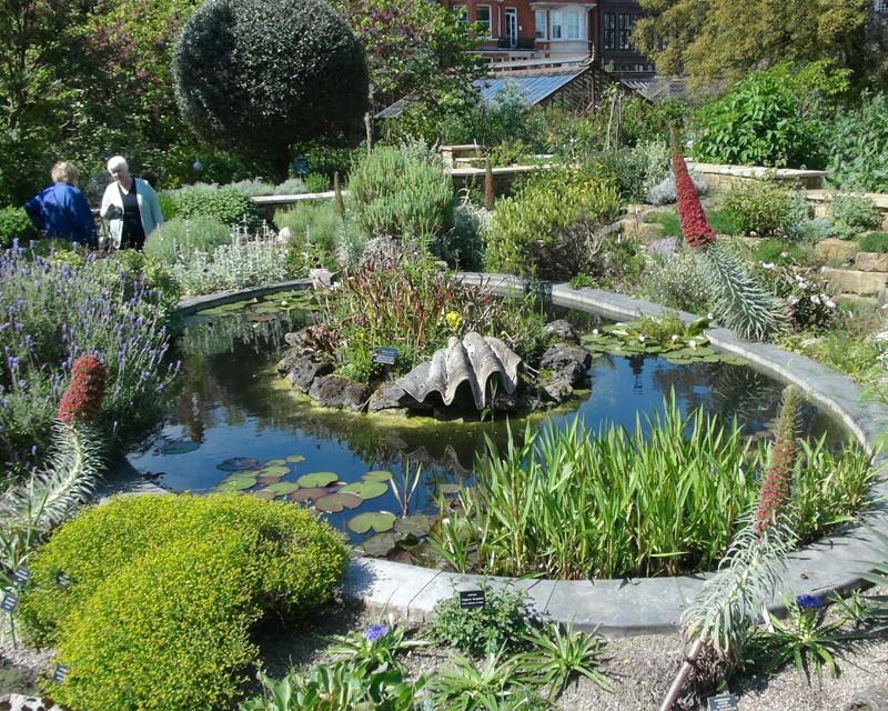 The central pond - Chelsea Physic Garden