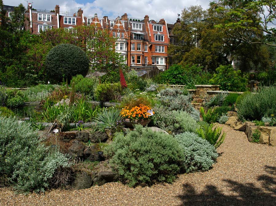 One of the many rockeries at Chelsea Physic Garden