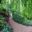 Enchanting pathways weave throughout Chelsea Physic Garden