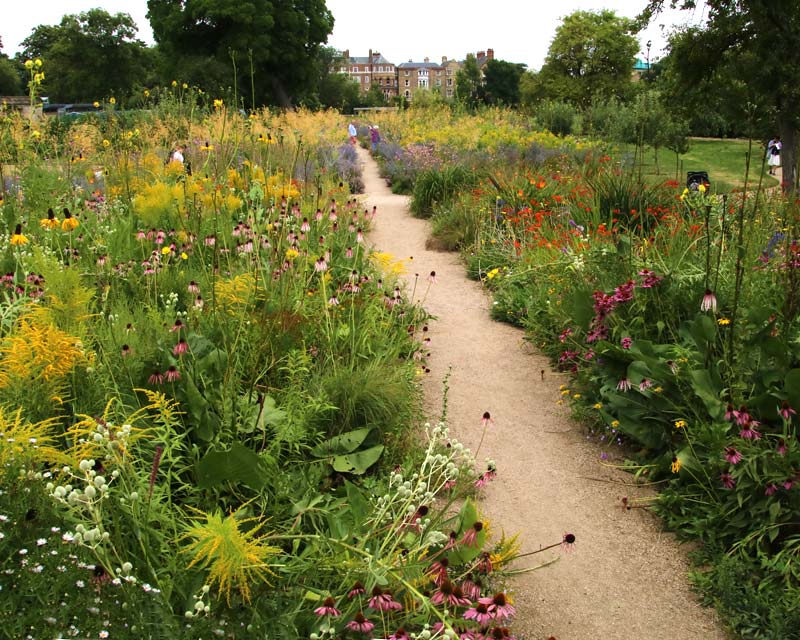 Merton Borders in full bloom, Oxford Botanic Gardens
