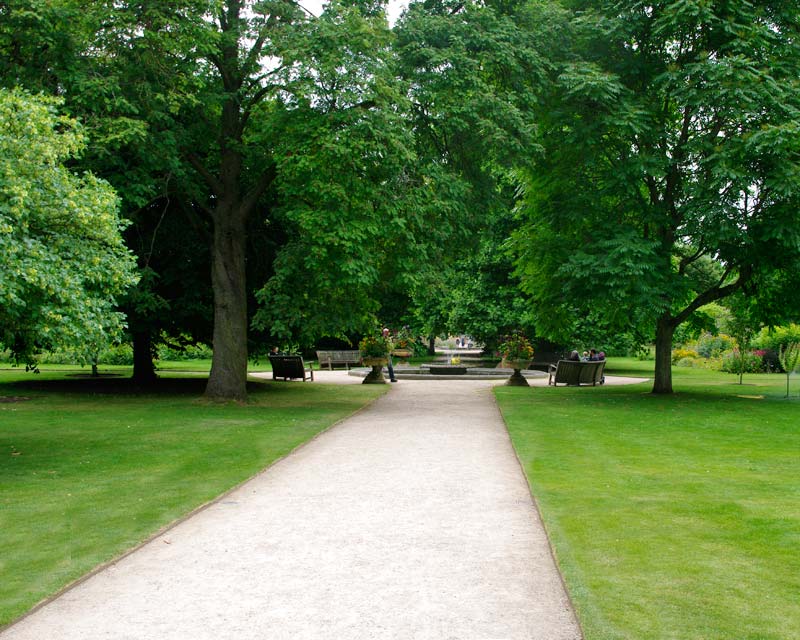 Pathways at Oxford Botanic Gardens