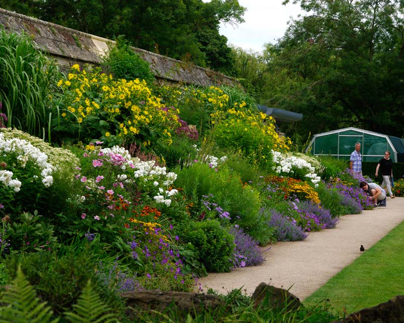 Summer Border at Oxford Botanic Gardens