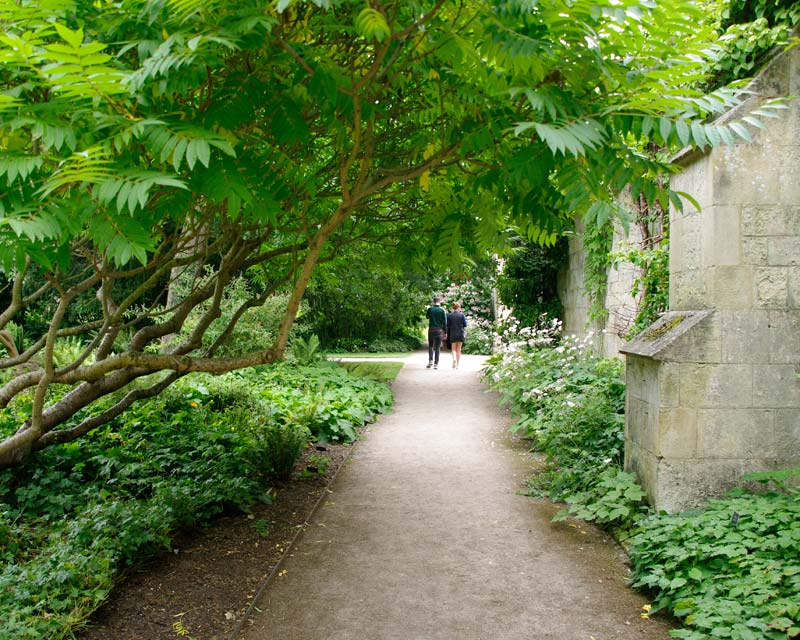 Ancient walls keep the Botanic Gardens well protected at Oxford