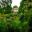 Oxford Botanic Walled Garden