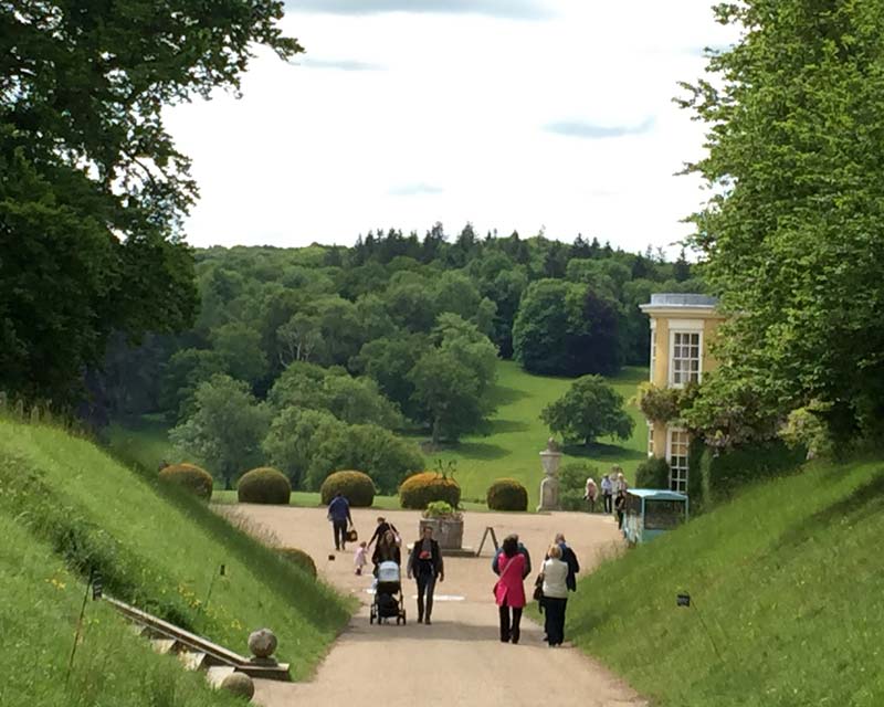 The Northern approach gives glimpses of the house and views - Polesden Lacey