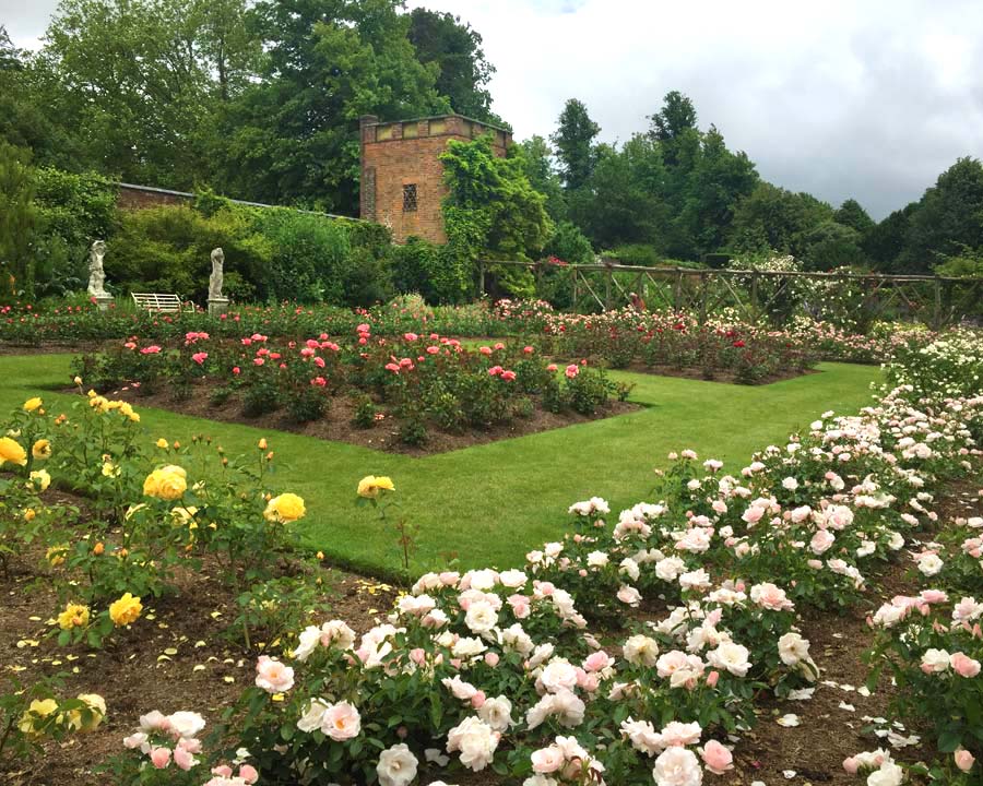 The Rose Garden at Polesdon Lacey