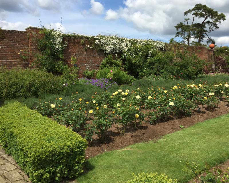 The Rose Garden - Late May, in a few weeks all the roses will be in flower - Polesden Lacey