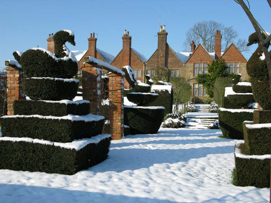 Topiary in winter - photo Felley Priory