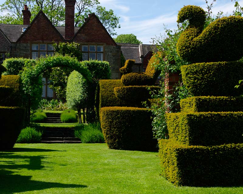 Topiary at Felley Priory