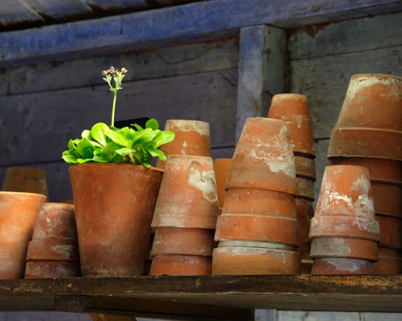 The Potting Shed - Harlow Carr