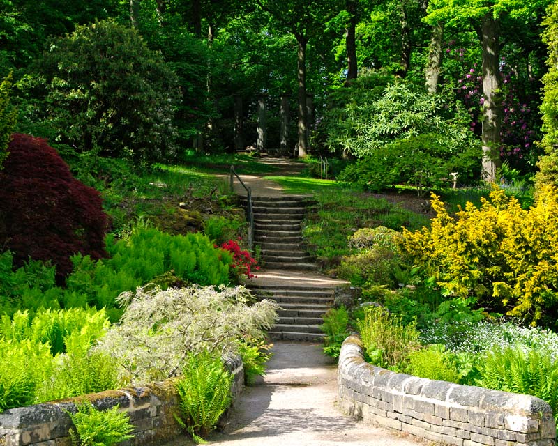 Steps from the Woodland Garden - Harlow Carr