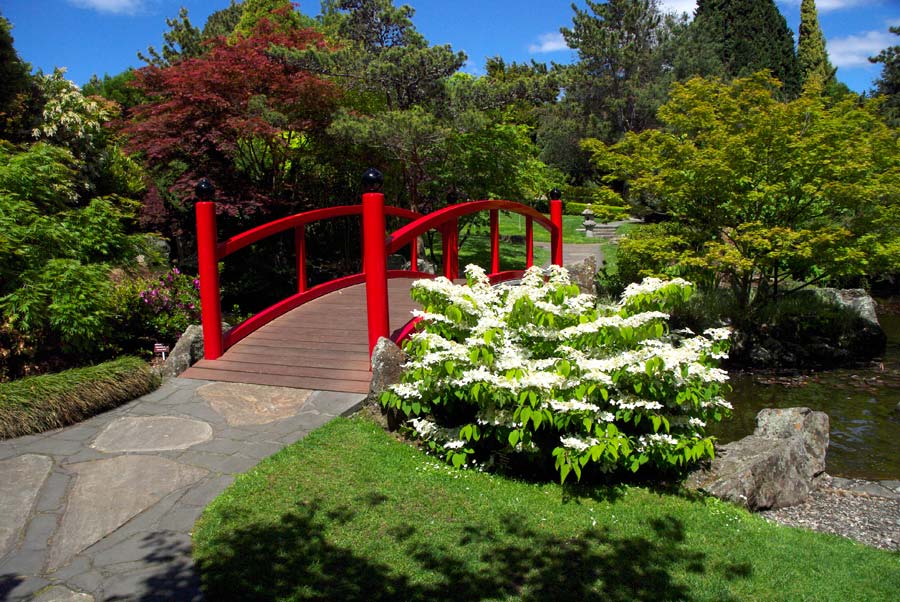 Bridge over lake in Japanese Garden - Royal Tasmanian Botanical Gardens