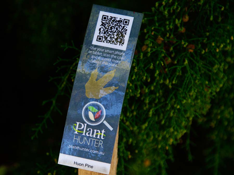 Q sign code. If you have a smart phone you can scan the Q sign to find out more about the plant you are looking at - Royal Tasmanian Botanical Gardens
