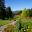 Royal Tasmanian Botanical Gardens  - View from main path