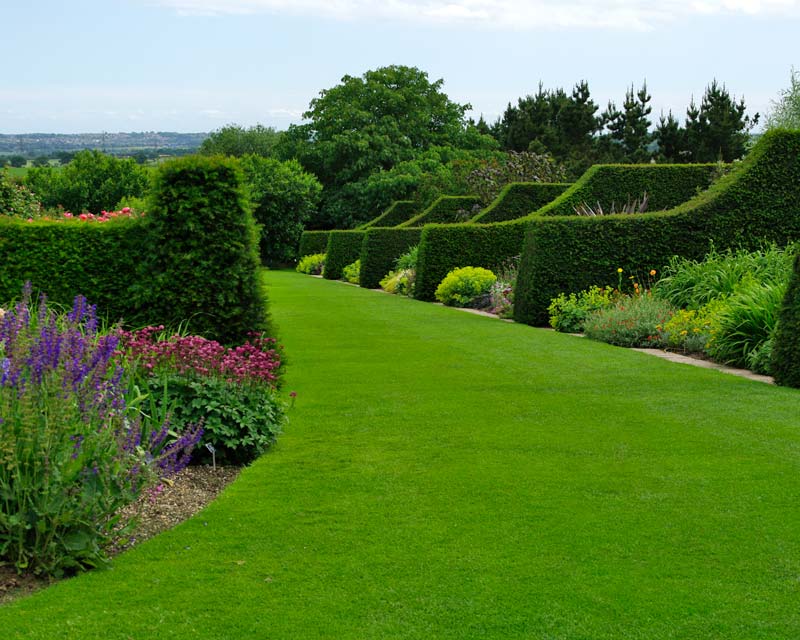 Herbaceous borders at Hyde Hall