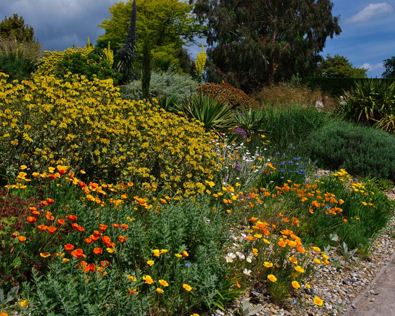 Colourful borders at Hyde Hall