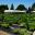 The nursery has for sale a large selection of plants growing in the gardens - Beth Chatto Gardens
