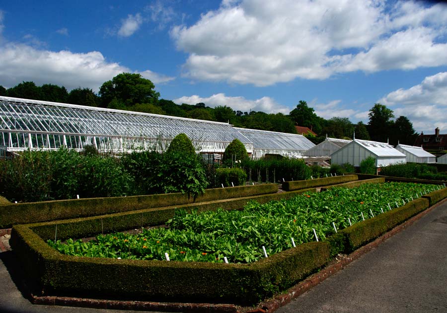 West Dean College - Immaculately kept Cutting Gardens and Victorian Glasshouses