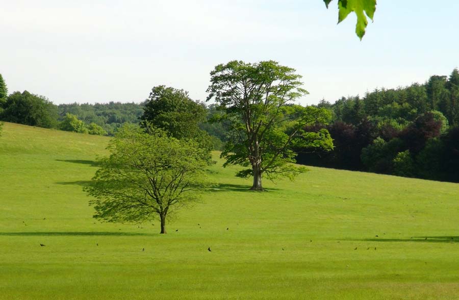 West Dean College - A walk across the Parklands takes visitors to  St Roche's Arboretum