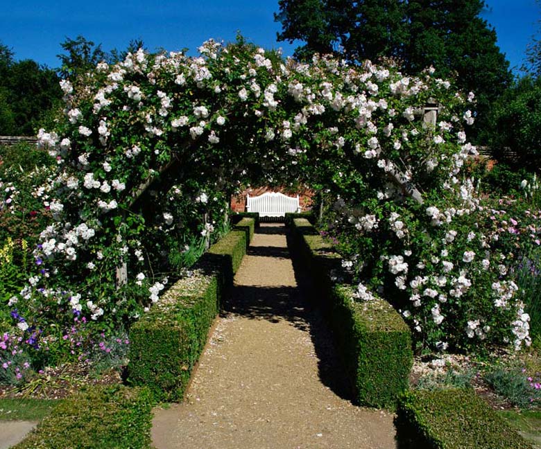 The Rose Garden - Mottisfont Abbey
