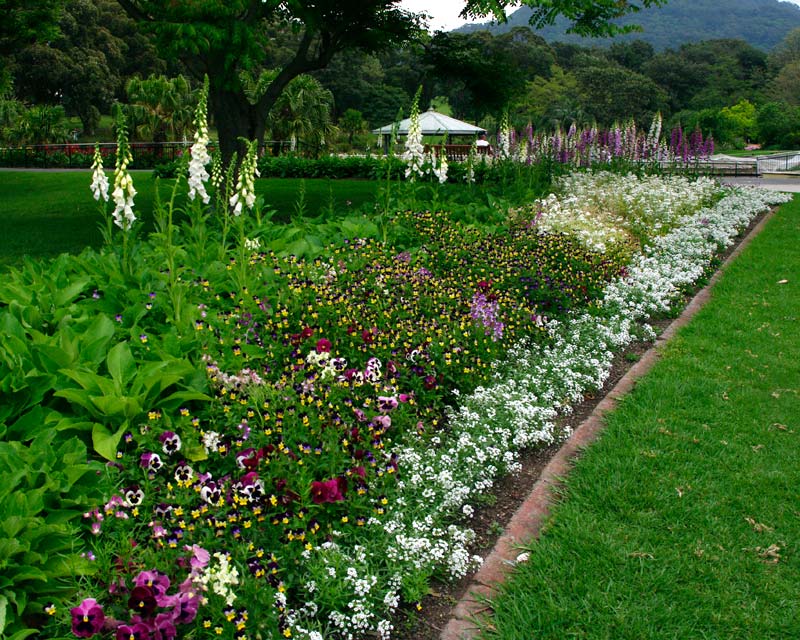 Borders at Wollongong Botanic Gardens