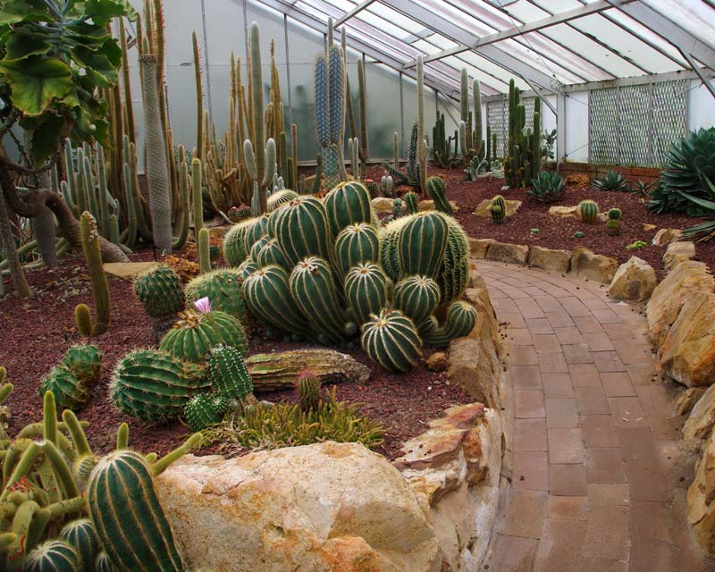 Cactus House at Wollongong Botanic Gardens