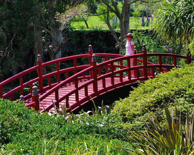 Japanese Bridge at Wollongong Botanic Gardens