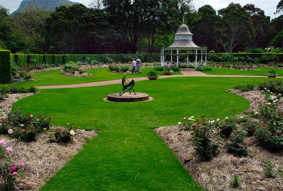 Rose Garden at Wollongong Botanic Gardens