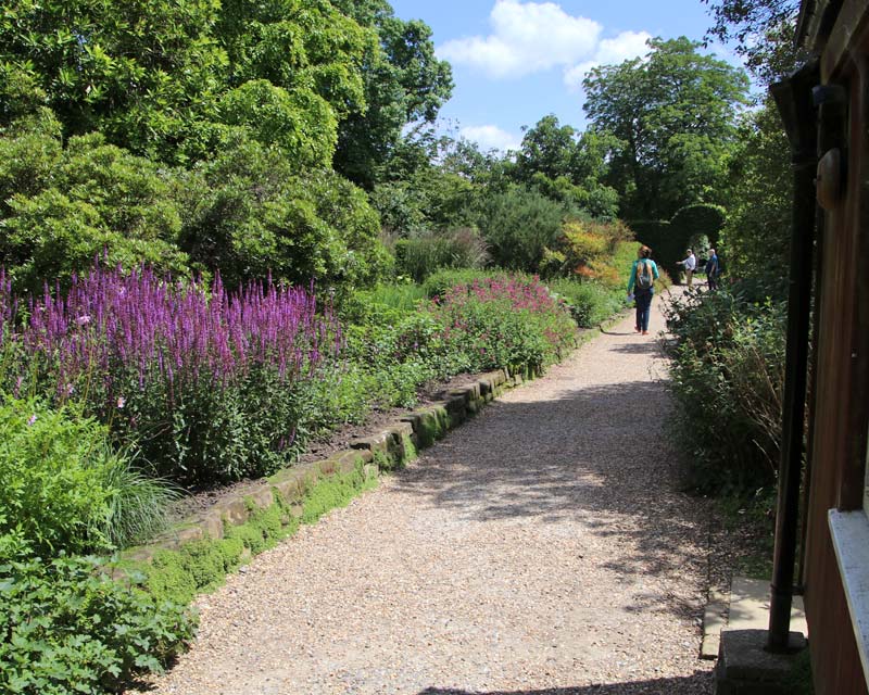 Paths and garden borders in early summer - Nymans