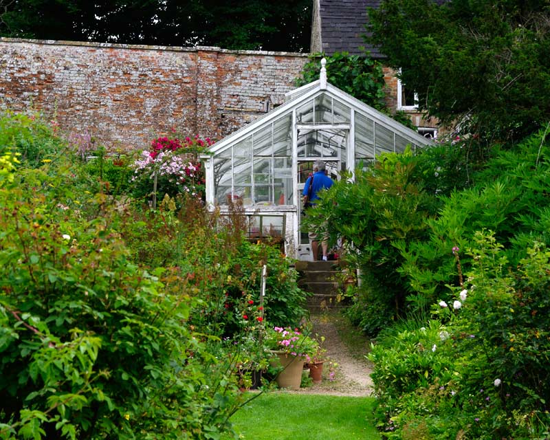 Greenhouse nestled in corner of the flower and kitchen gardens