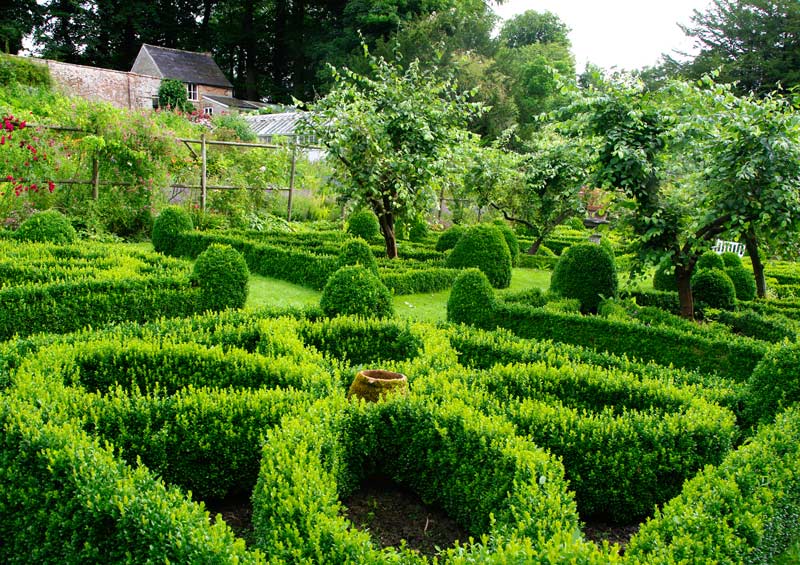 Knot Garden - Cerney Gardens