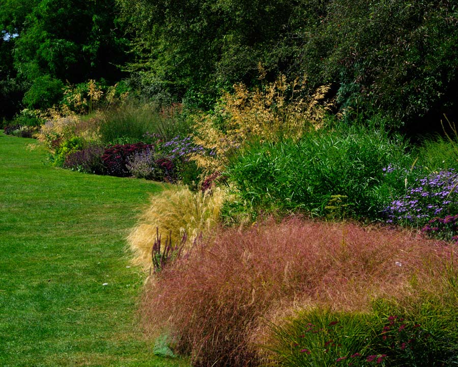 Contrasting grasses add contrast to garden borders - Waterperry Gardens