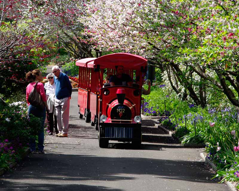 Scenic train will take visitors around Royal Botanic Garden, Sydney - September