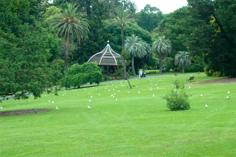 Very elegant, very Melbourne. - Royal Botanic Gardens Melbourne
