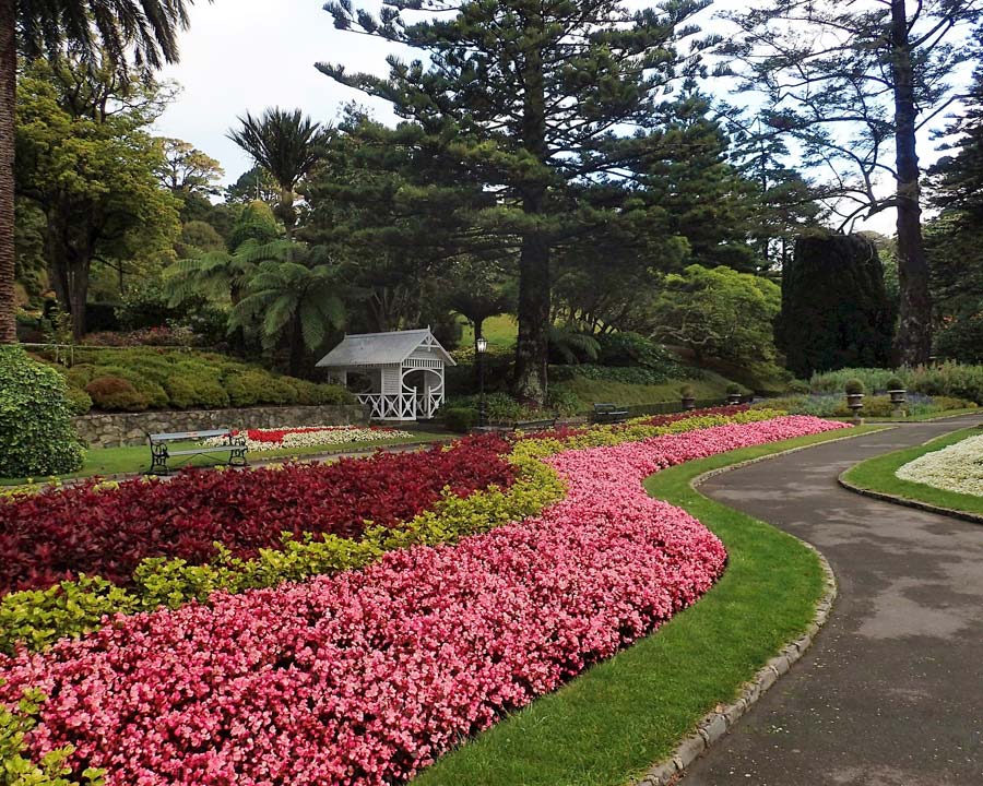 Wellington Botanic Gardens, New Zealand.