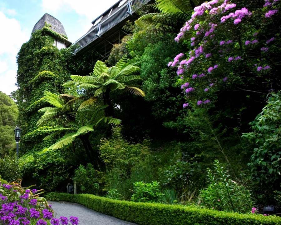 Wellington Botanic Gardens, New Zealand.