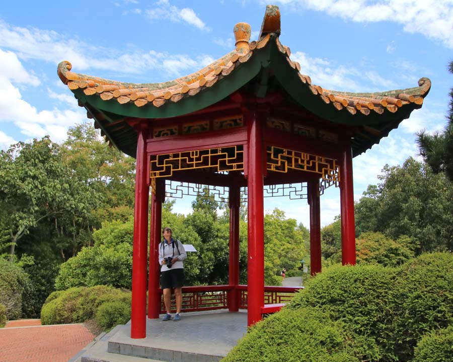 Chinese Scholars' Garden - Hamilton Gardens NZ
