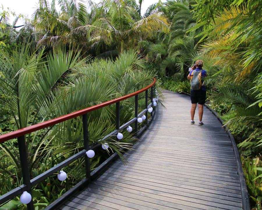 Hamilton Botanic Gardens, Tropical Garden tree-top walkway