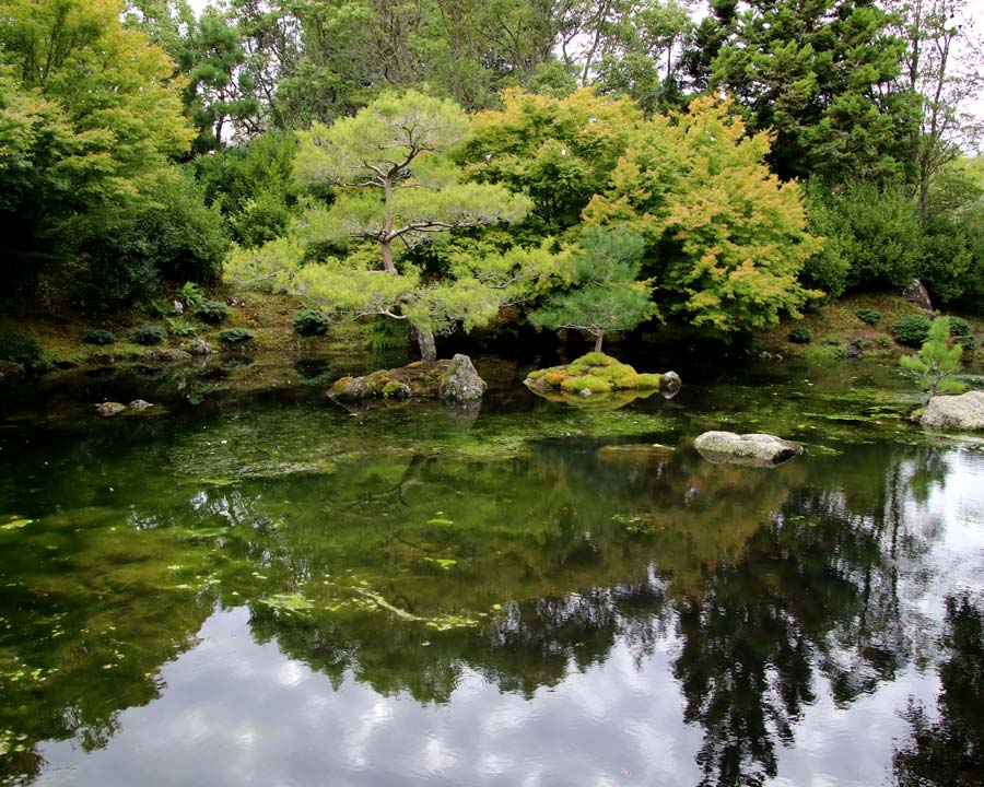 Japanese Garden of Contemplation - Hamilton Gardens NZ